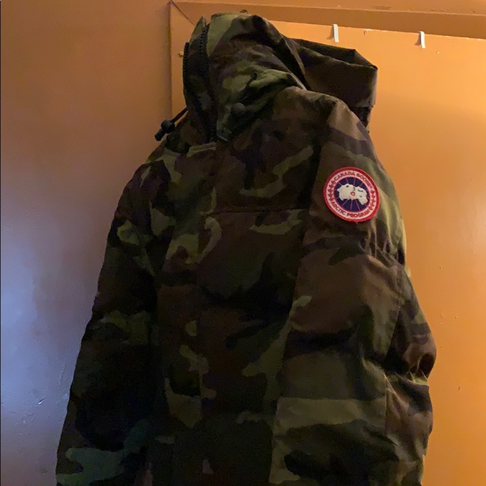 Canada goose
